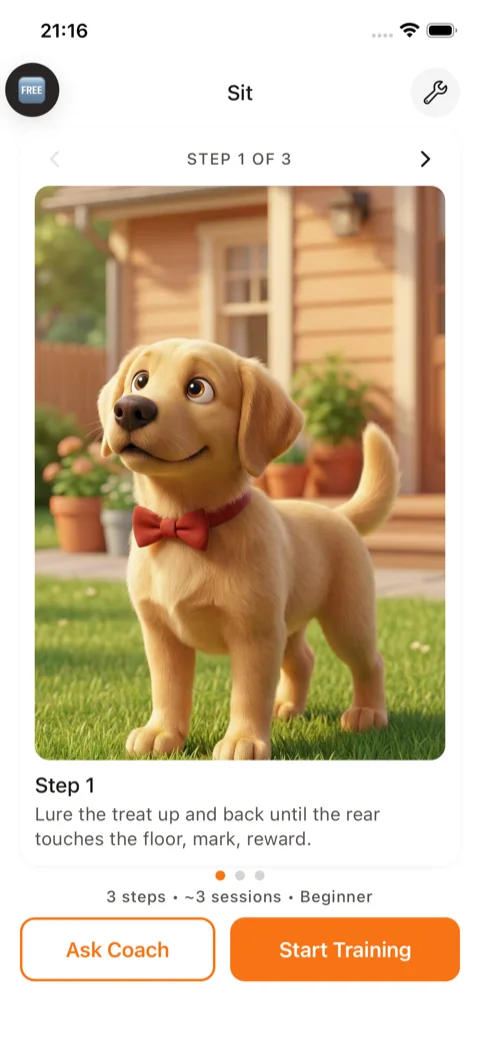 Screenshot of a Bubbas training step