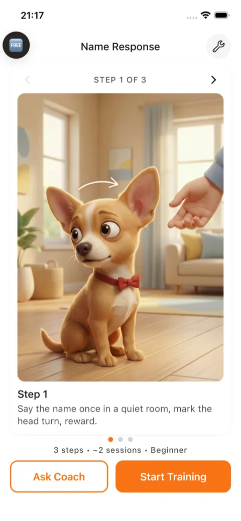 Screenshot of the Bubbas daily training plan